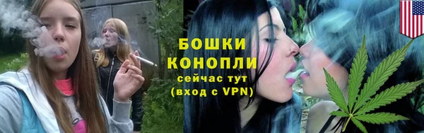 винт Баксан