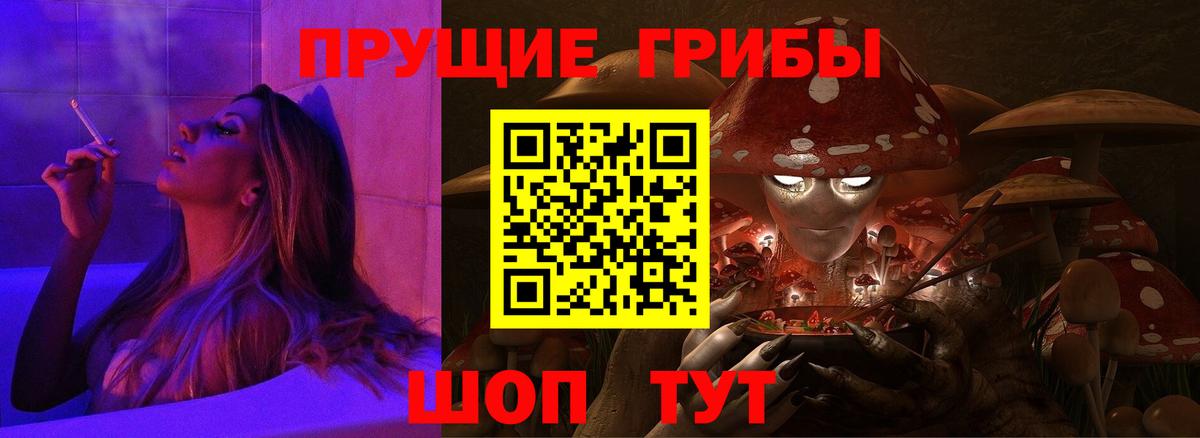 Галлюциногенные грибы прущие грибы  Вход с VPN  Ульяновск 
