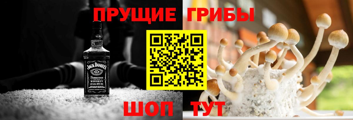 Галлюциногенные грибы мухоморы Ульяновск