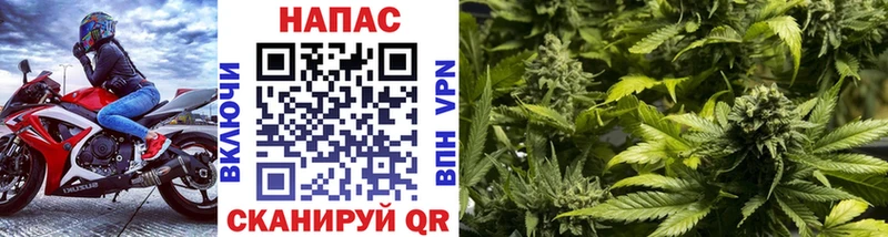 Каннабис ГИДРОПОН  Ульяновск 